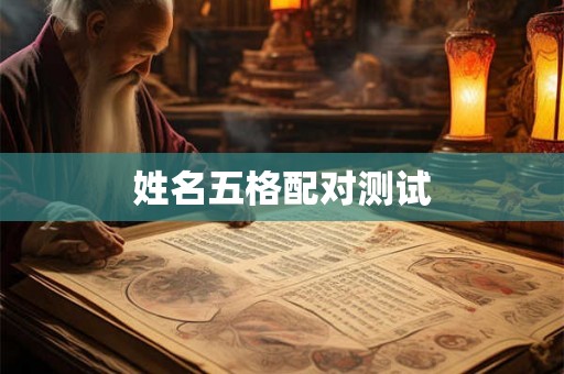 姓名五格配对测试