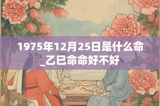 1975年12月25日是什么命_乙巳命命好不好