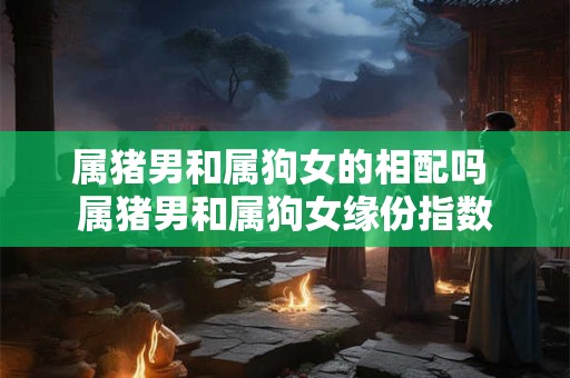属猪男和属狗女的相配吗 属猪男和属狗女缘份指数
