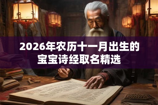 2026年农历十一月出生的宝宝诗经取名精选