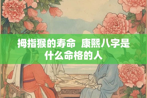 拇指猴的寿命  康熙八字是什么命格的人