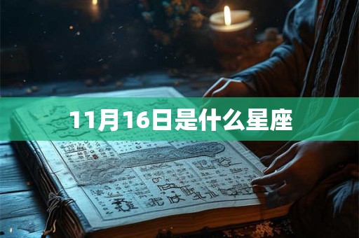 11月16日是什么星座