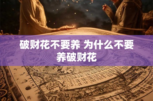破财花不要养 为什么不要养破财花