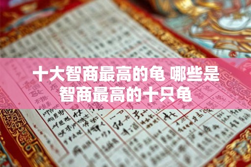 十大智商最高的龟 哪些是智商最高的十只龟 十大智商最高的龟 哪些是智商最高的十只龟