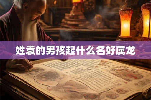 姓袁的男孩起什么名好属龙 姓袁的男孩起什么名好属龙