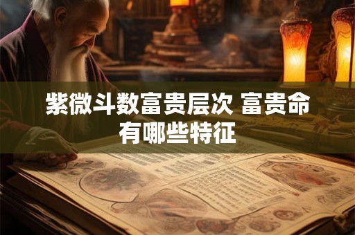 紫微斗数富贵层次 富贵命有哪些特征 紫微斗数富贵层次 富贵命有哪些特征