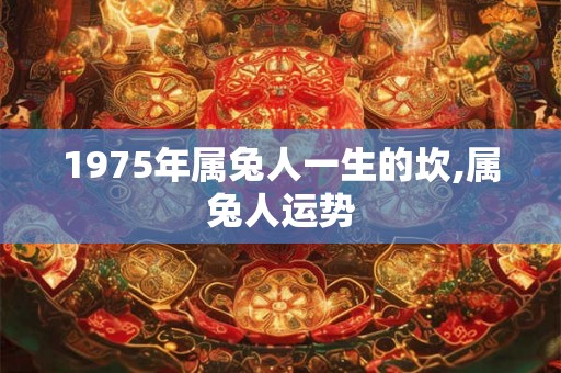 1975年属兔人一生的坎,属兔人运势