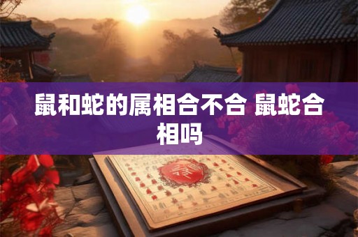鼠和蛇的属相合不合 鼠蛇合相吗 鼠和蛇的属相合不合 鼠蛇合相吗