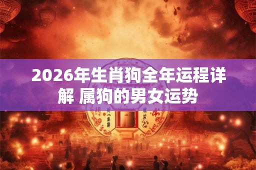 2026年生肖狗全年运程详解 属狗的男女运势 2026年生肖狗全年运程详解 属狗的男女运势