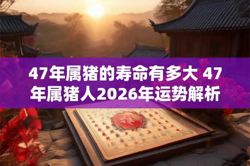 47年属猪的寿命有多大 47年属猪人2026年运势解析