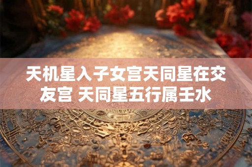 天机星入子女宫天同星在交友宫 天同星五行属壬水