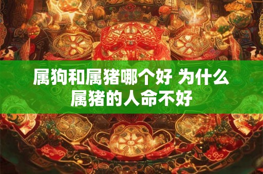 属狗和属猪哪个好 为什么属猪的人命不好