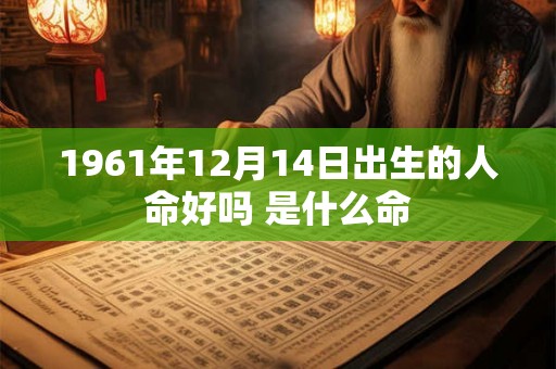 1961年12月14日出生的人命好吗 是什么命