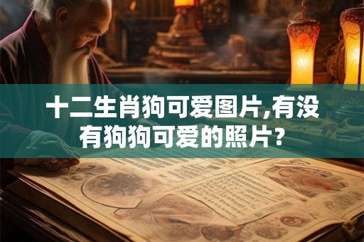 十二生肖狗可爱图片,有没有狗狗可爱的照片？