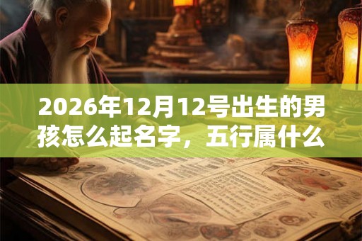2026年12月12号出生的男孩怎么起名字，五行属什么
