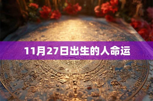11月27日出生的人命运