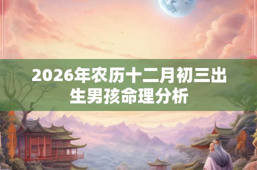 2026年农历十二月初三出生男孩命理分析