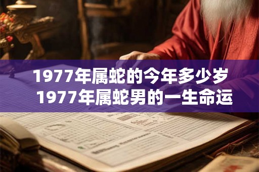 1977年属蛇的今年多少岁  1977年属蛇男的一生命运