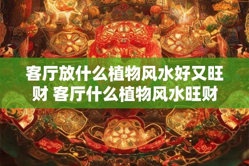 客厅放什么植物风水好又旺财 客厅什么植物风水旺财