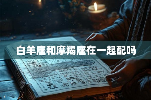 白羊座和摩羯座在一起配吗