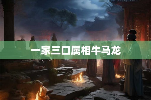 一家三口属相牛马龙