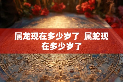 属龙现在多少岁了  属蛇现在多少岁了
