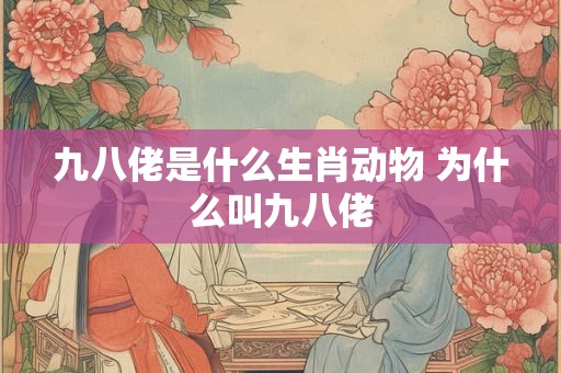 九八佬是什么生肖动物 为什么叫九八佬 九八佬是什么生肖动物 为什么叫九八佬