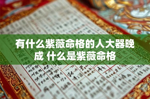 有什么紫薇命格的人大器晚成 什么是紫薇命格