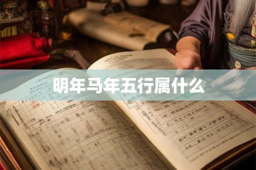 明年马年五行属什么