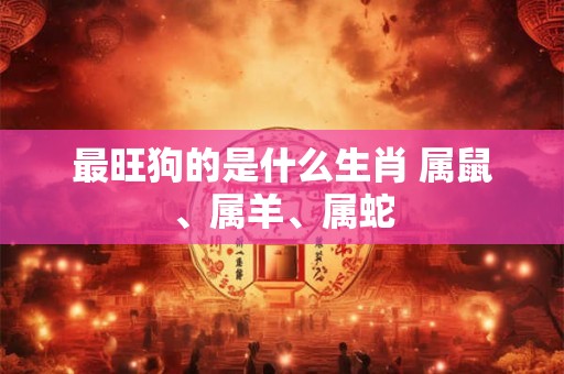 最旺狗的是什么生肖 属鼠、属羊、属蛇
