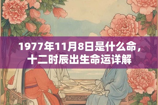 1977年11月8日是什么命，十二时辰出生命运详解