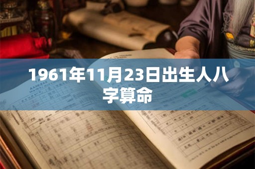 1961年11月23日出生人八字算命 1961年11月23日出生人八字算命