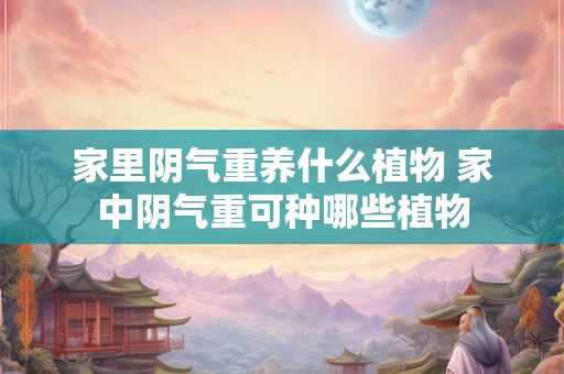 家里阴气重养什么植物 家中阴气重可种哪些植物