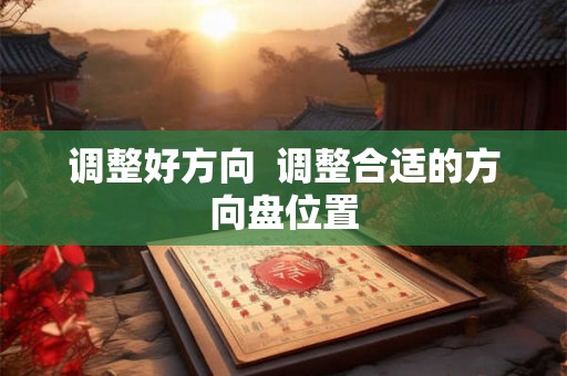 调整好方向  调整合适的方向盘位置