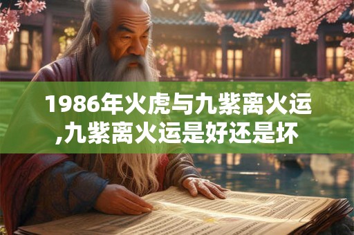 1986年火虎与九紫离火运,九紫离火运是好还是坏