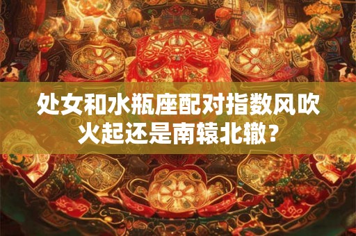 处女和水瓶座配对指数风吹火起还是南辕北辙？