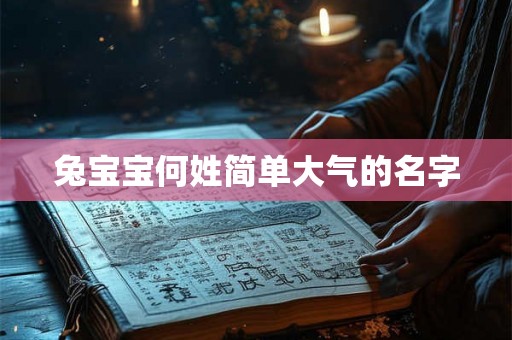 兔宝宝何姓简单大气的名字