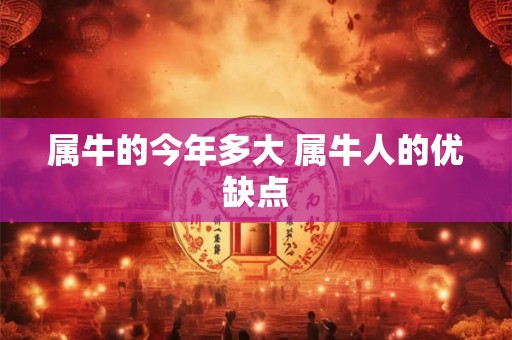 属牛的今年多大 属牛人的优缺点