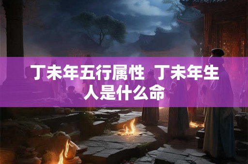 丁未年五行属性  丁未年生人是什么命