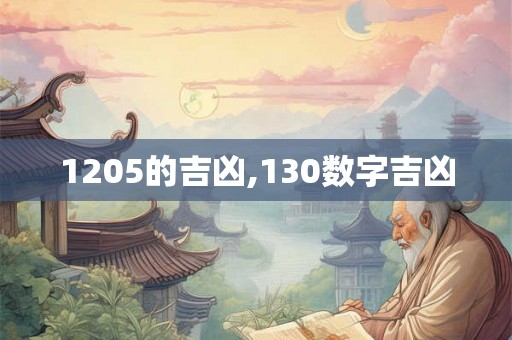 1205的吉凶,130数字吉凶