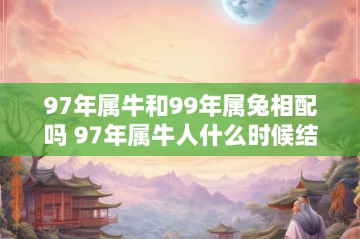 97年属牛和99年属兔相配吗 97年属牛人什么时候结婚最合适
