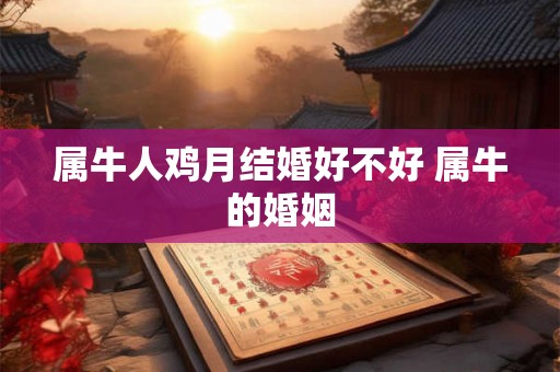属牛人鸡月结婚好不好 属牛的婚姻 属牛人鸡月结婚好不好 属牛的婚姻