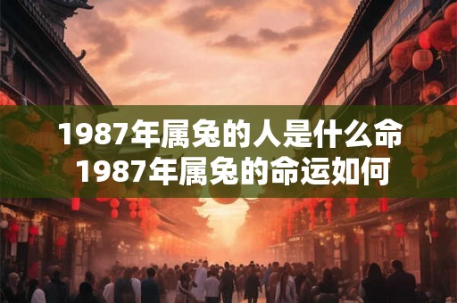 1987年属兔的人是什么命 1987年属兔的命运如何