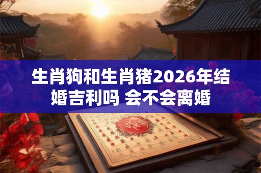 生肖狗和生肖猪2026年结婚吉利吗 会不会离婚