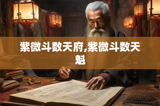 紫微斗数天府,紫微斗数天魁