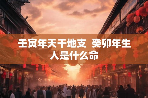 壬寅年天干地支  癸卯年生人是什么命