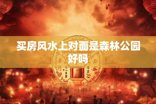 买房风水上对面是森林公园好吗