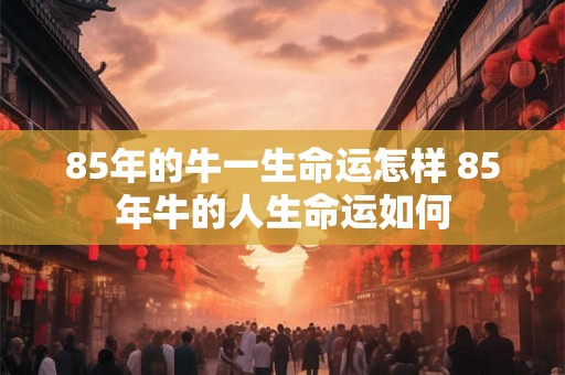 85年的牛一生命运怎样 85年牛的人生命运如何 85年的牛一生命运怎样 85年牛的人生命运如何
