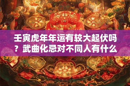 壬寅虎年年运有较大起伏吗？武曲化忌对不同人有什么影响？