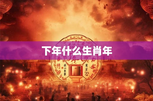 下年什么生肖年